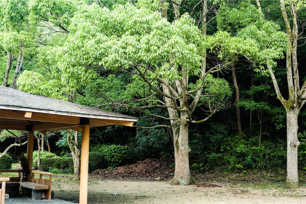 f:id:kumasan01:20220630200433j:image
