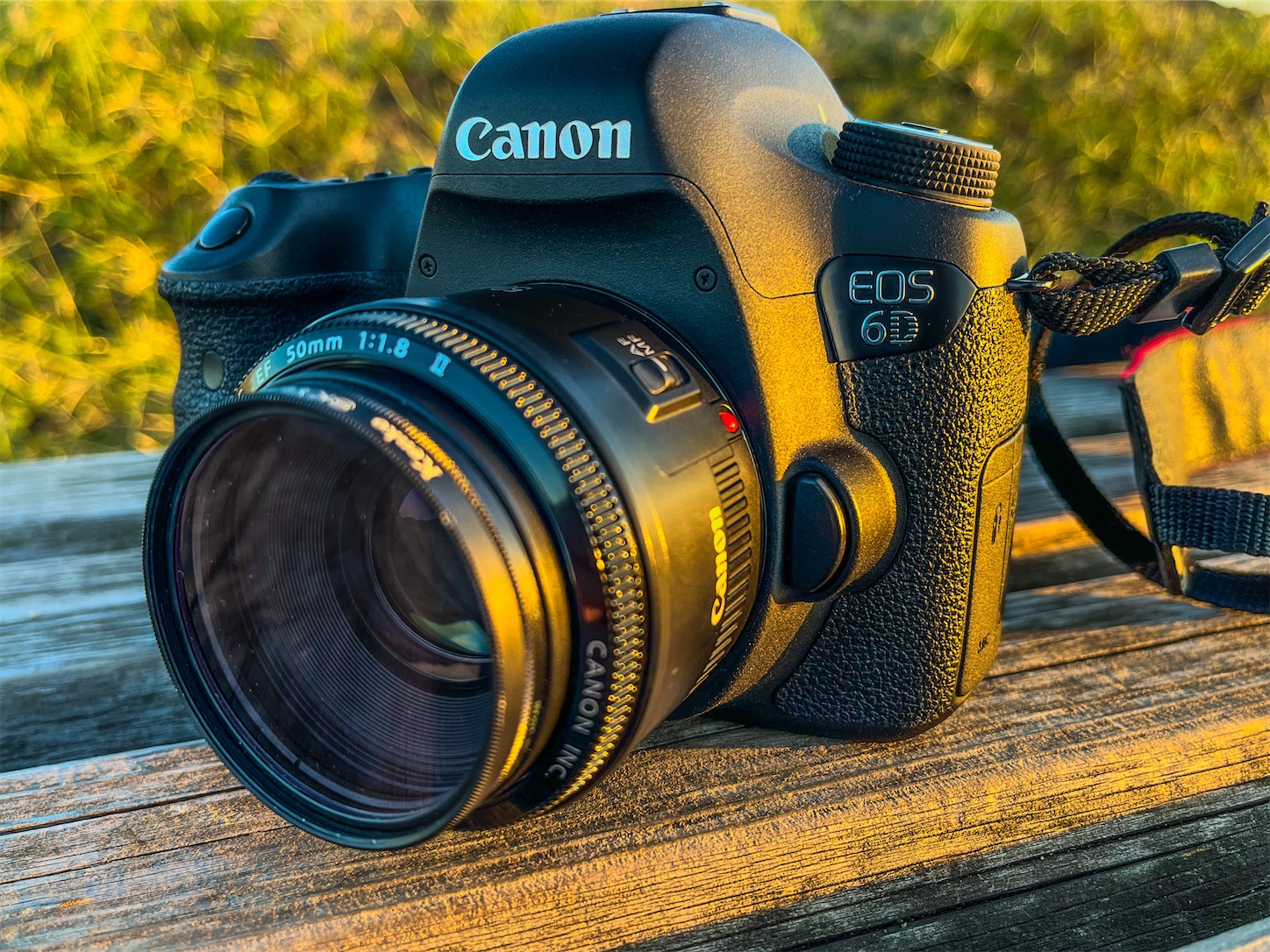 やっぱりいい一眼レフ機 EOS 6D コスモス - kumasan01のカメラブログ