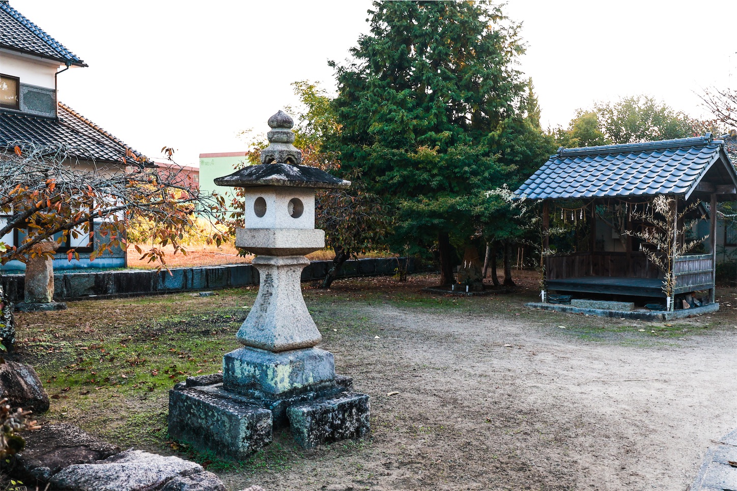 f:id:kumasan01:20221102114340j:image