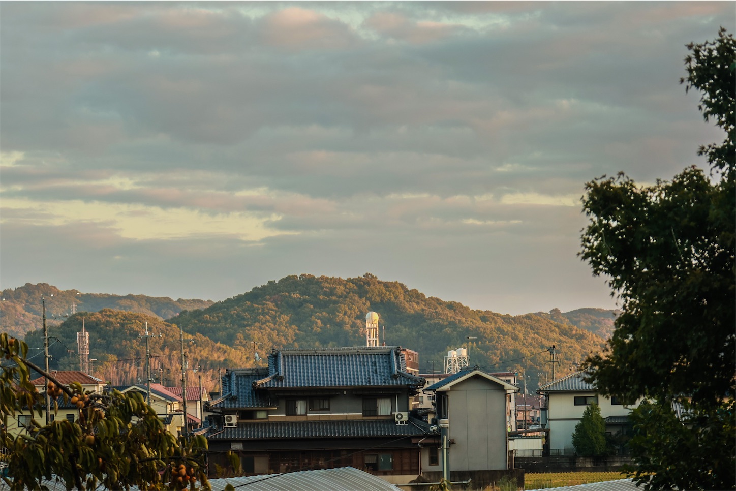 f:id:kumasan01:20221102114345j:image