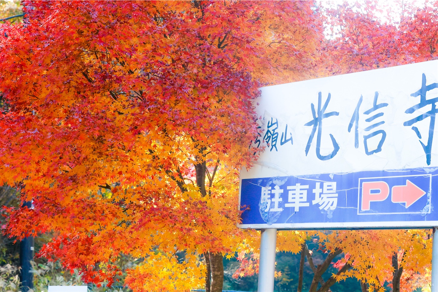 f:id:kumasan01:20221114123440j:image
