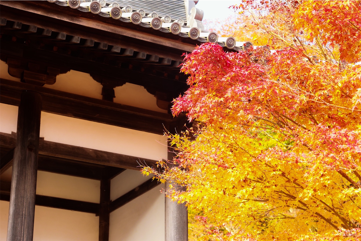 f:id:kumasan01:20221114123448j:image