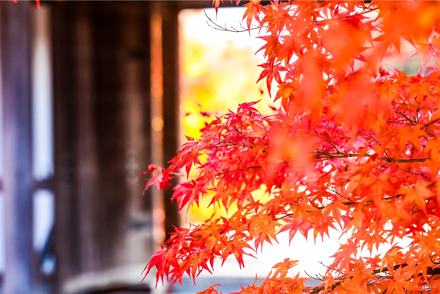 f:id:kumasan01:20221114123451j:image