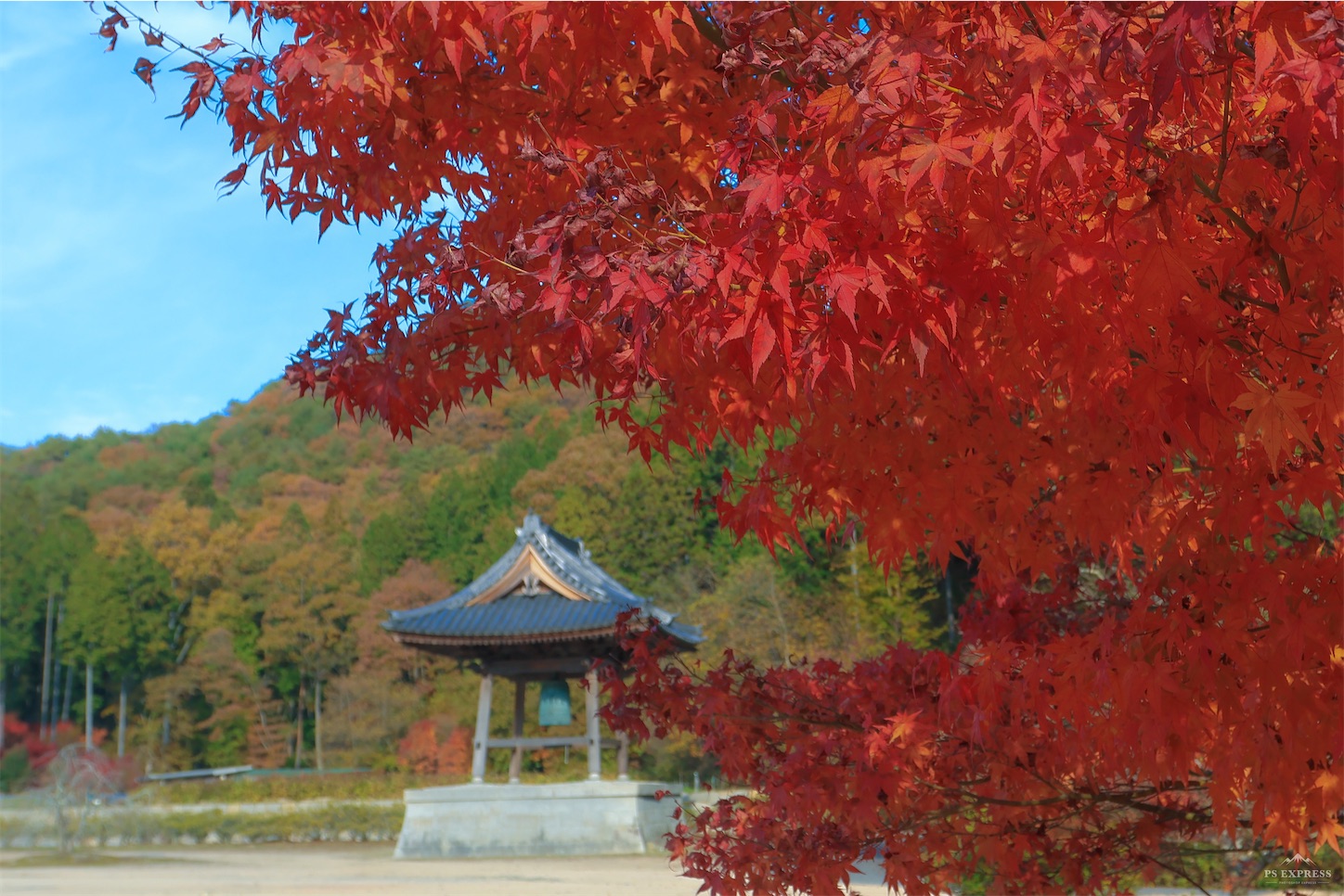 f:id:kumasan01:20221122094616j:image