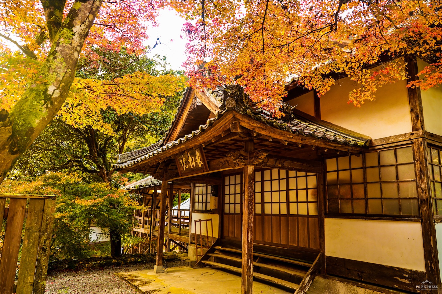 f:id:kumasan01:20221126180657j:image