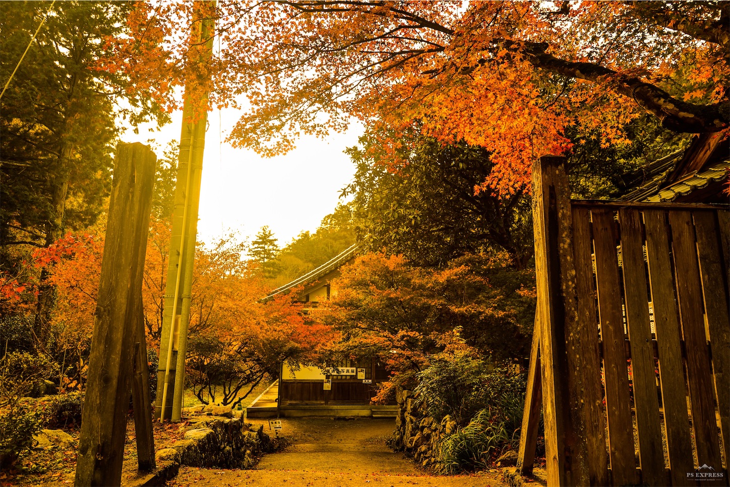 f:id:kumasan01:20221126180910j:image