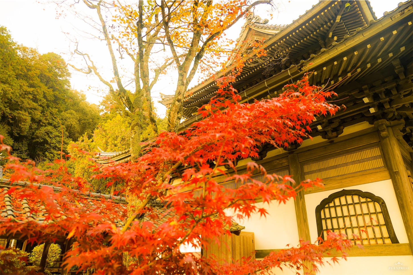 f:id:kumasan01:20221127095751j:image