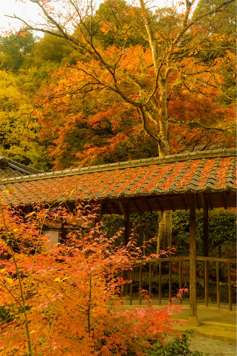 f:id:kumasan01:20221127095809j:image