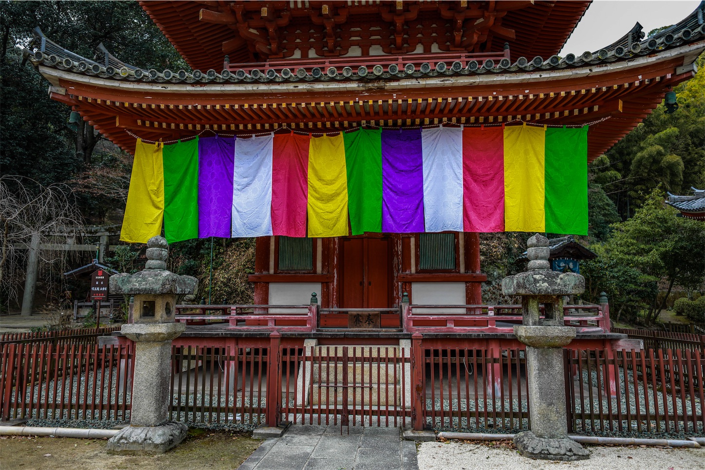 f:id:kumasan01:20230203204358j:image f:id:kumasan01:20230203204358j:image