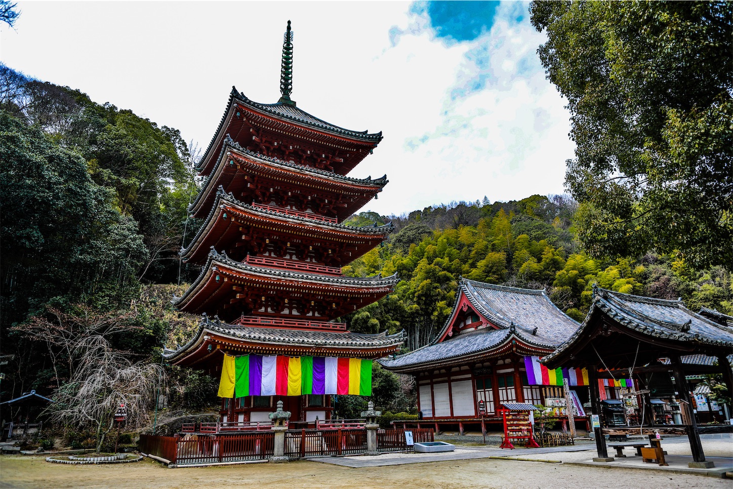 f:id:kumasan01:20230203204406j:image f:id:kumasan01:20230203204406j:image
