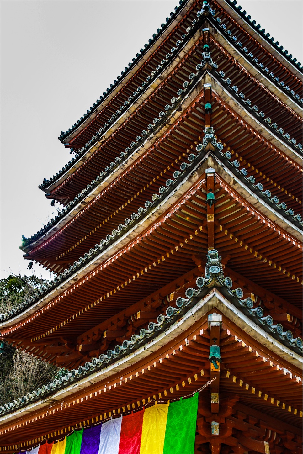 f:id:kumasan01:20230203204424j:image f:id:kumasan01:20230203204424j:image