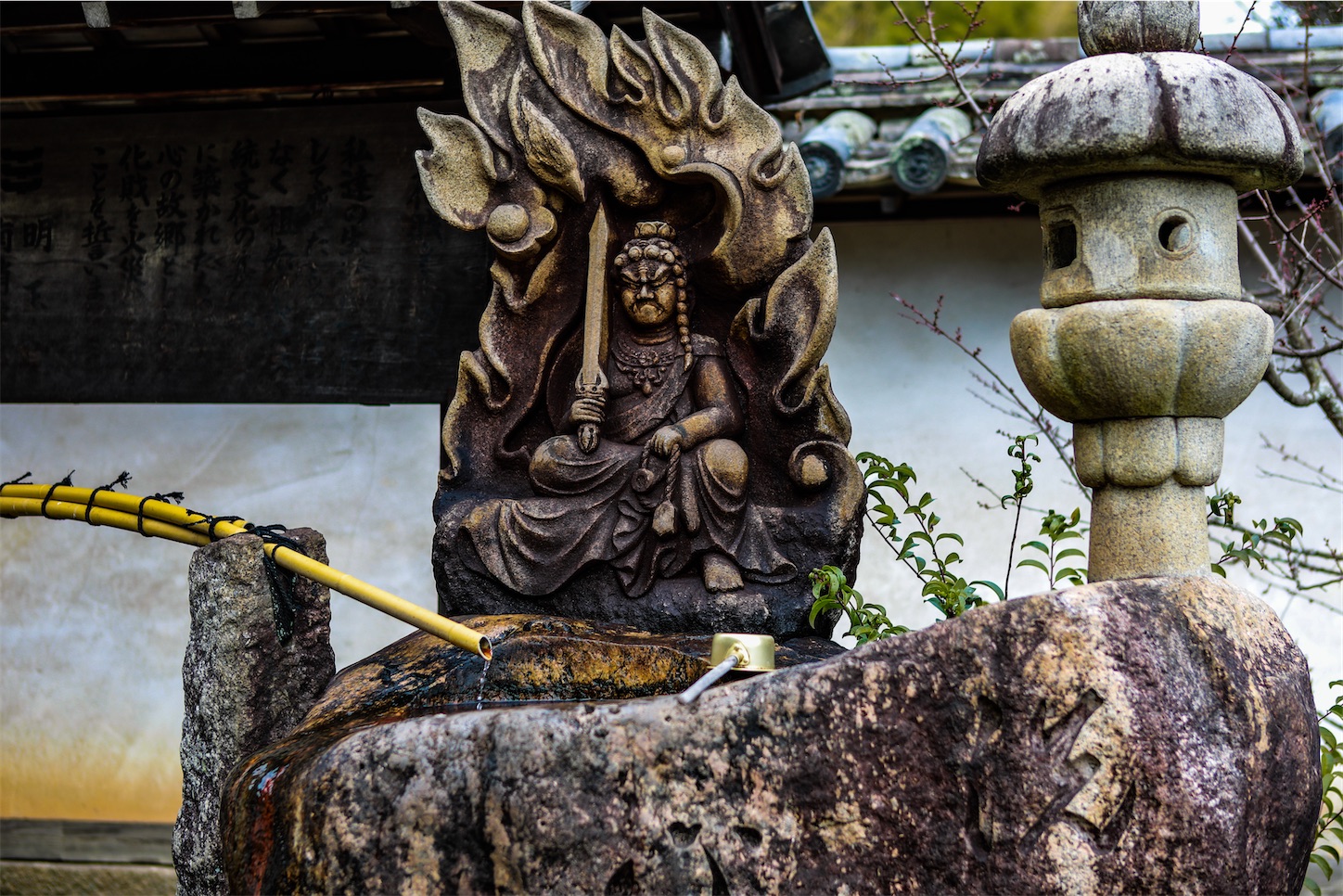 f:id:kumasan01:20230205102224j:image