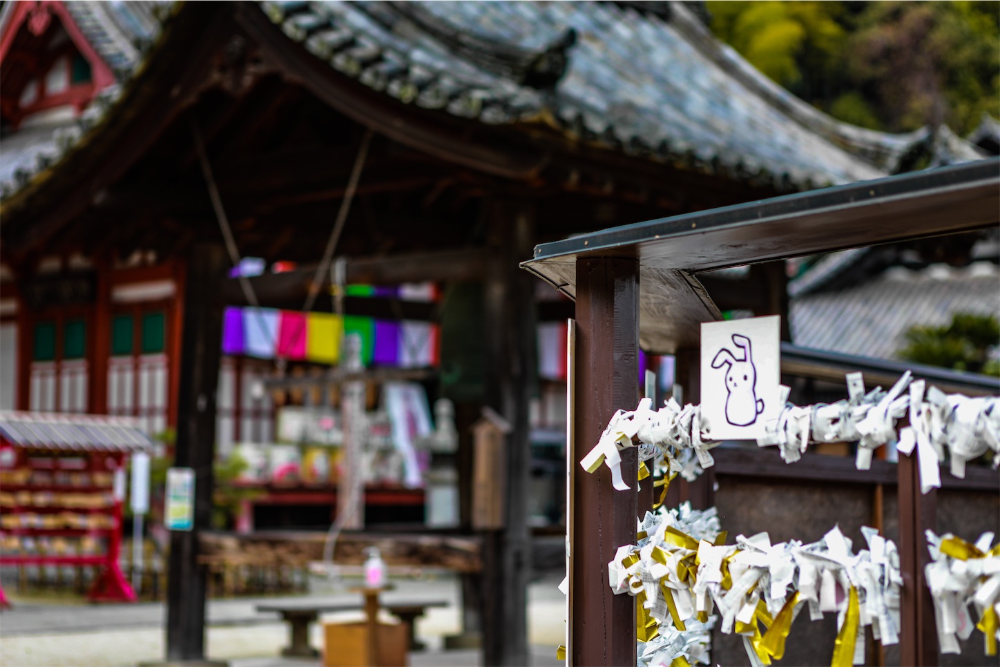 f:id:kumasan01:20230205102234j:image