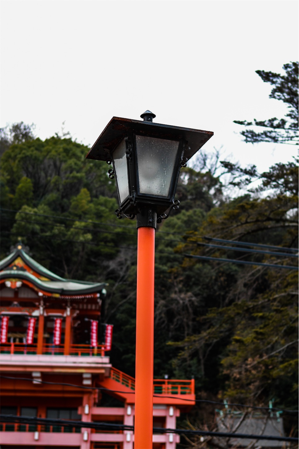 f:id:kumasan01:20230210220632j:image