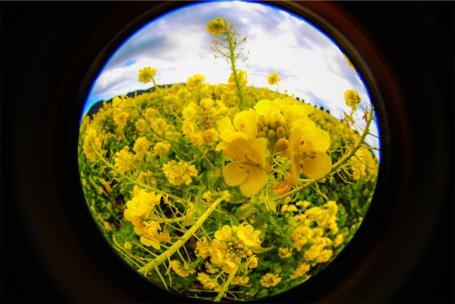 f:id:kumasan01:20230304201912j:image