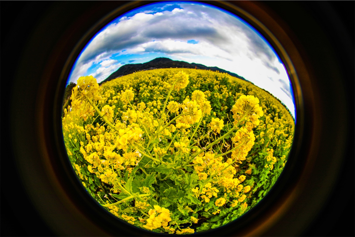 f:id:kumasan01:20230304201920j:image