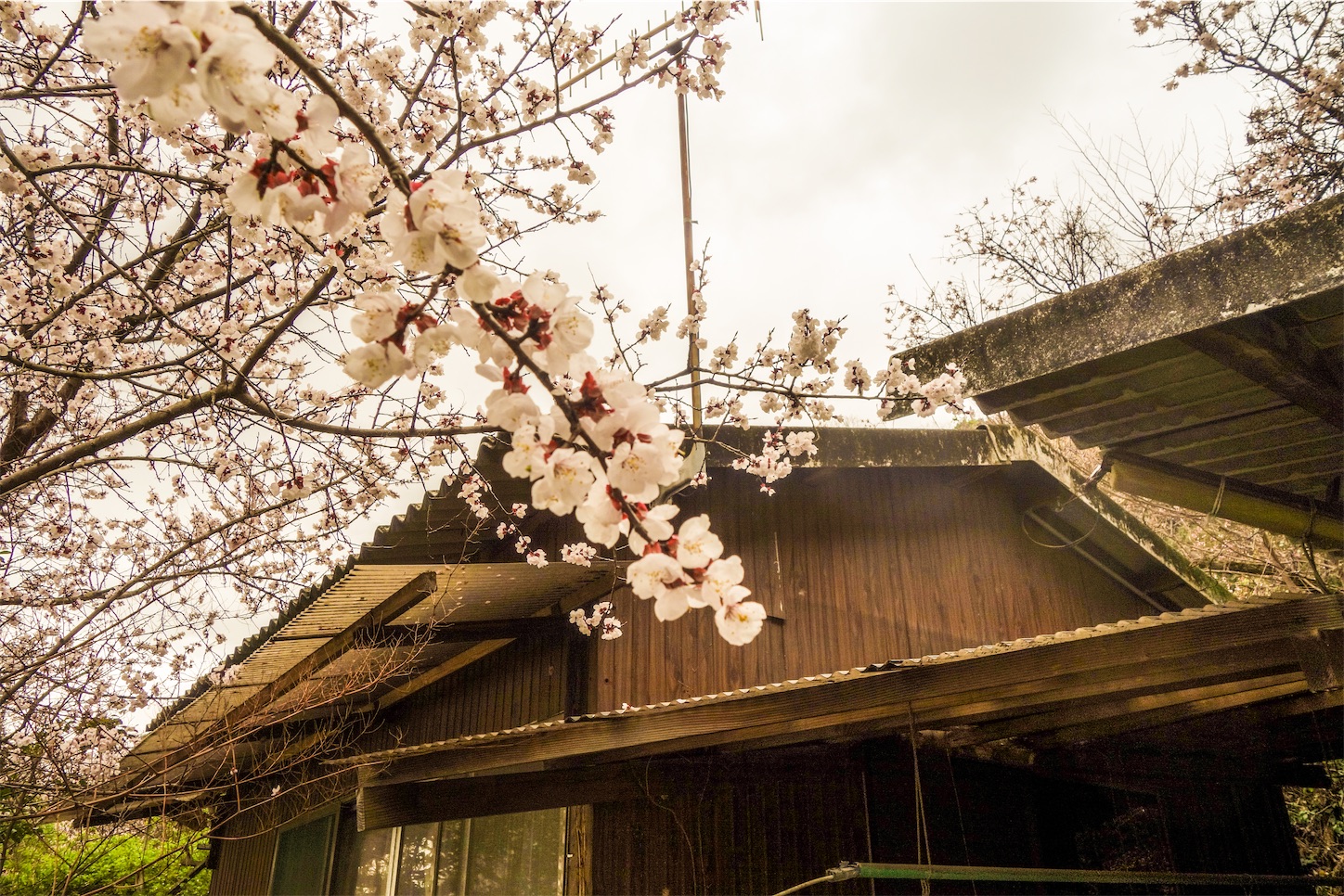 f:id:kumasan01:20230330093414j:image