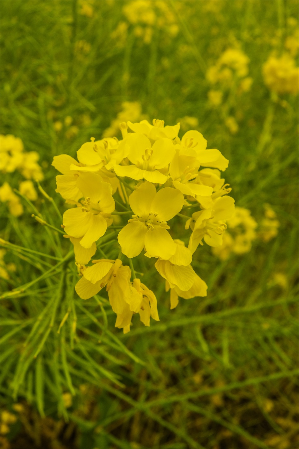 f:id:kumasan01:20230330093439j:image