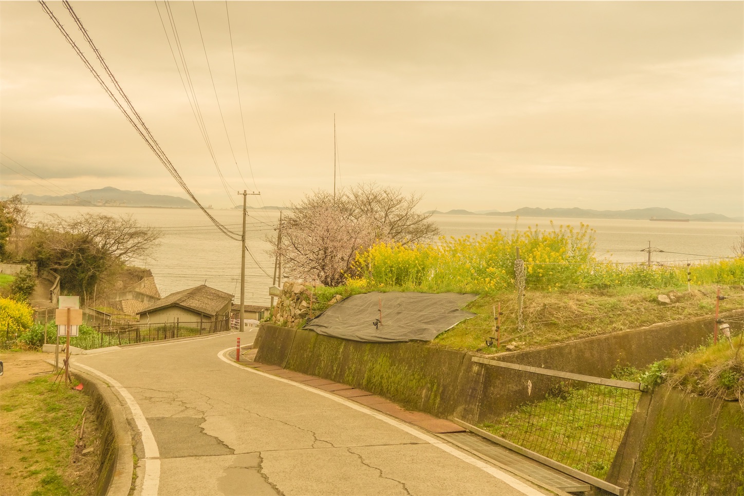 f:id:kumasan01:20230330093443j:image