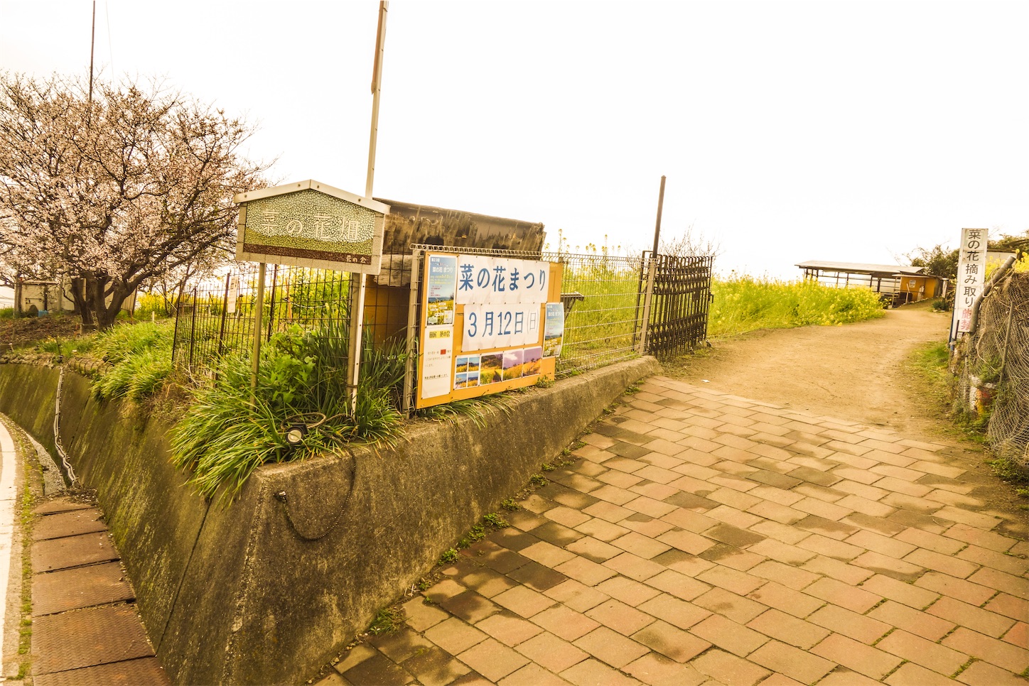 f:id:kumasan01:20230330093450j:image
