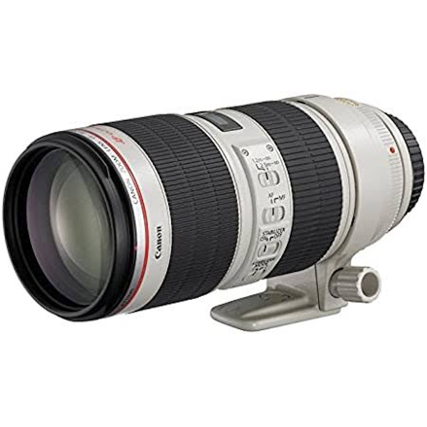 EOS R6 おすすめレンズ EF70-200mm F2.8L USM - kumasan01の
