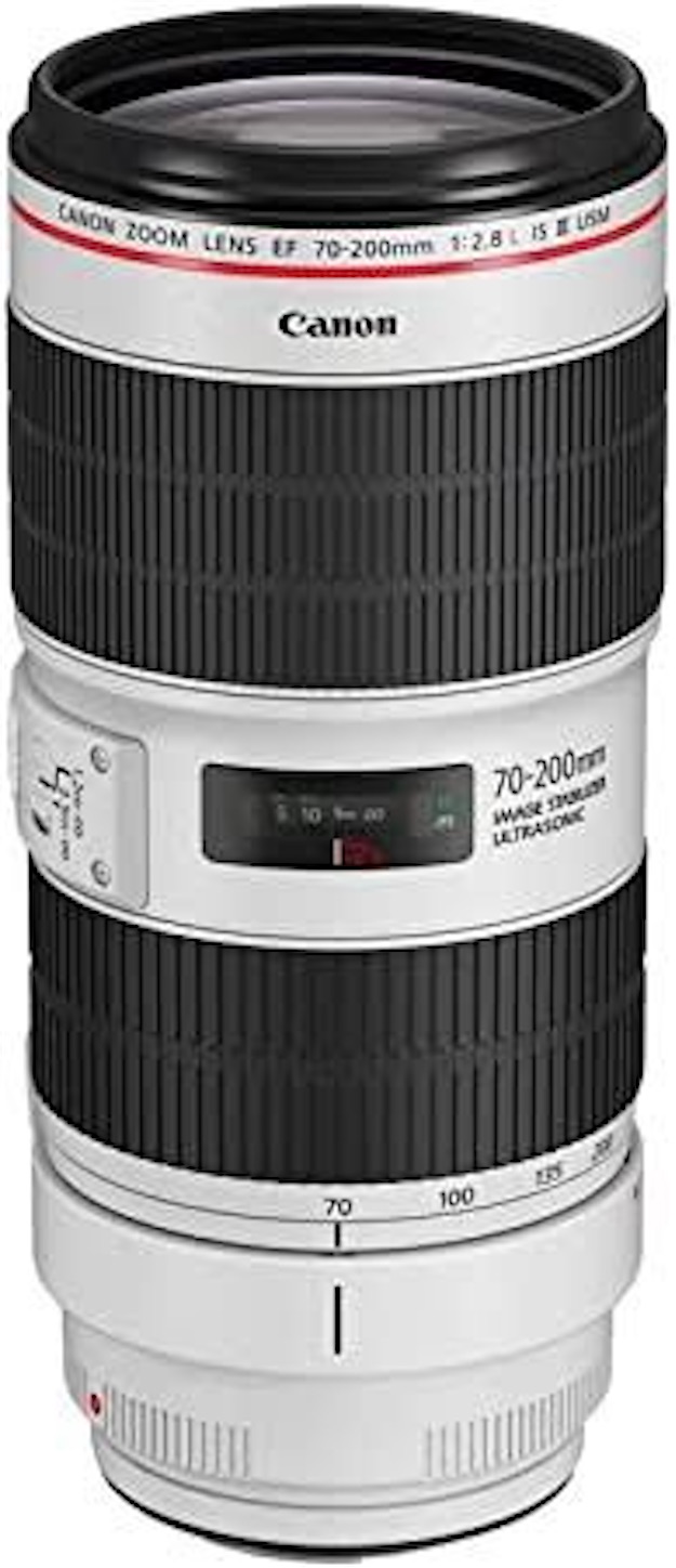 EOS R6 おすすめレンズ EF70-200mm F2.8L USM - kumasan01の