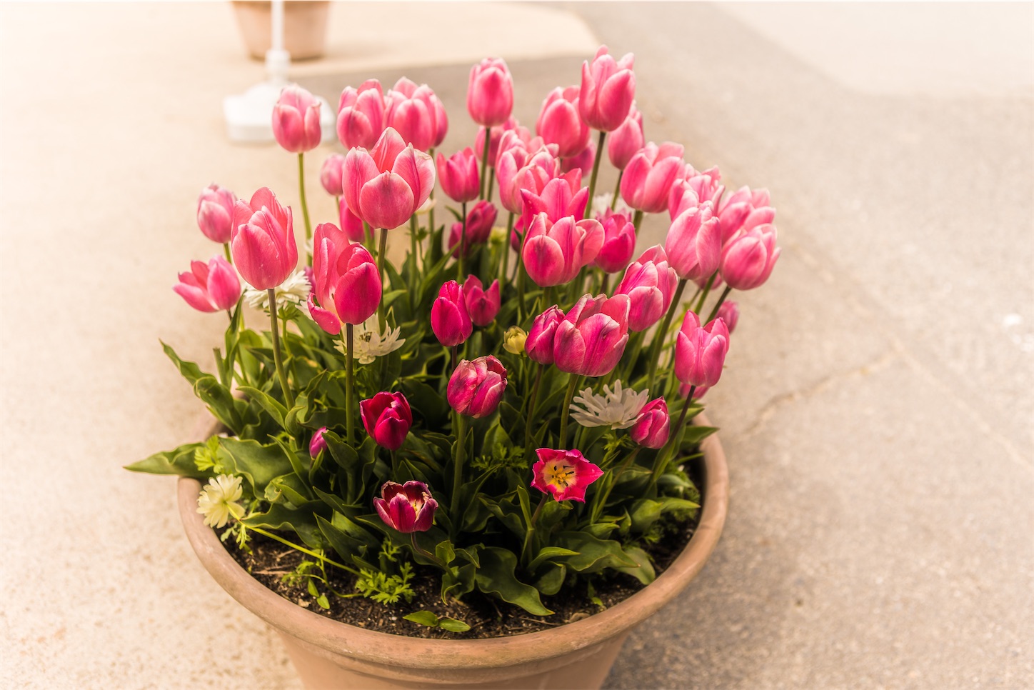 f:id:kumasan01:20230424162735j:image