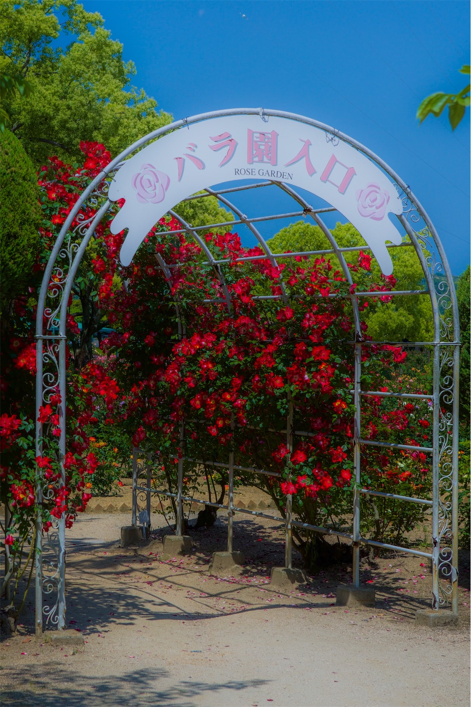 f:id:kumasan01:20230517174546j:image