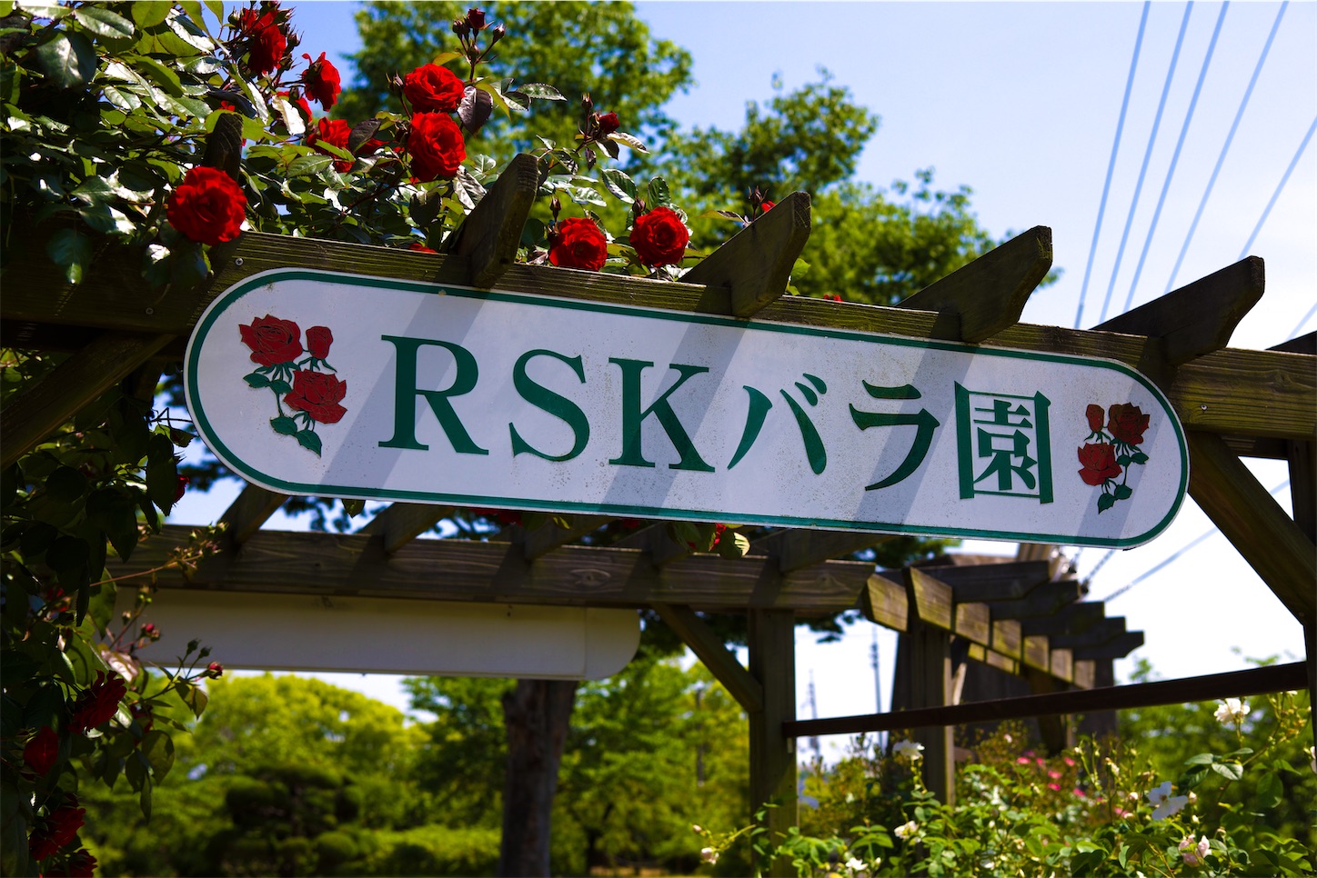 f:id:kumasan01:20230522202940j:image