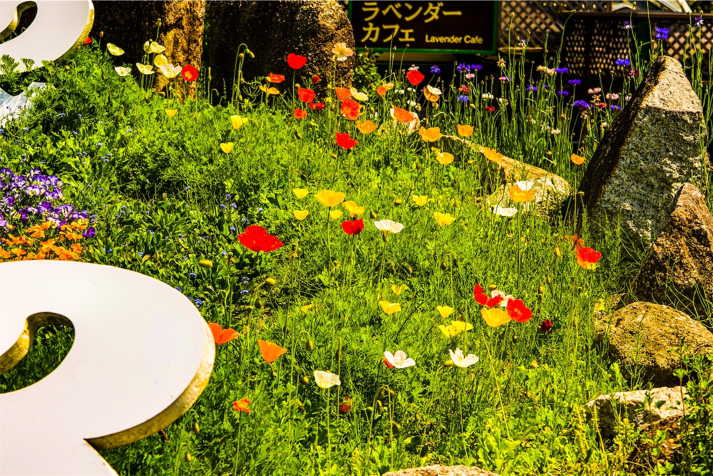 f:id:kumasan01:20230526204833j:image f:id:kumasan01:20230526204833j:image