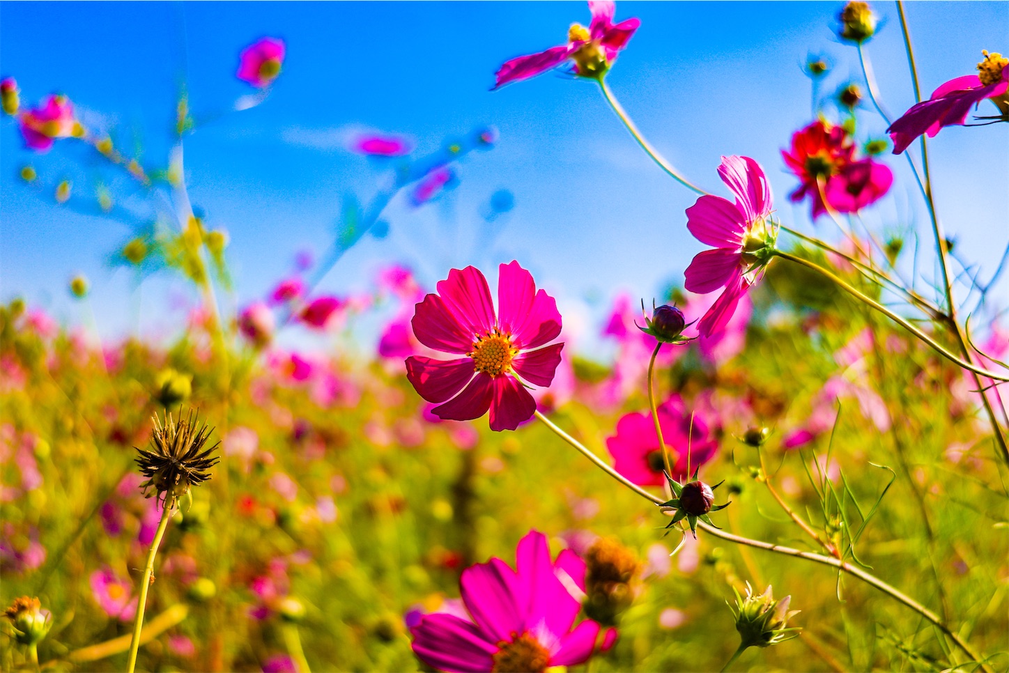 f:id:kumasan01:20231027154443j:image