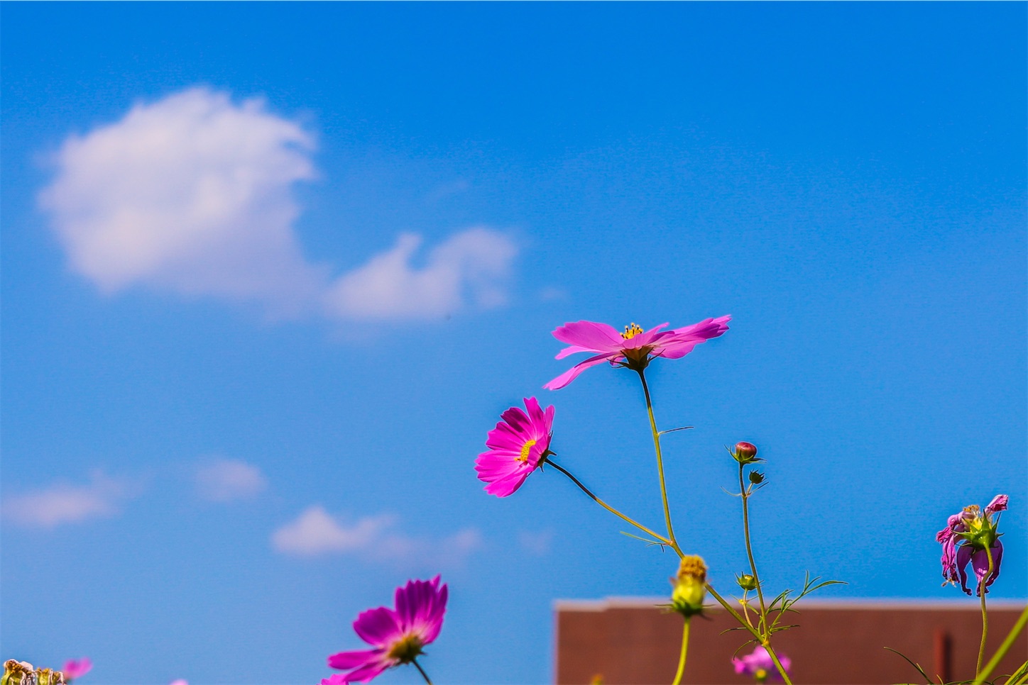 f:id:kumasan01:20231027154457j:image