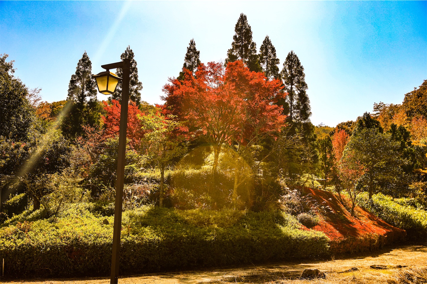 f:id:kumasan01:20231102103908j:image f:id:kumasan01:20231102103908j:image