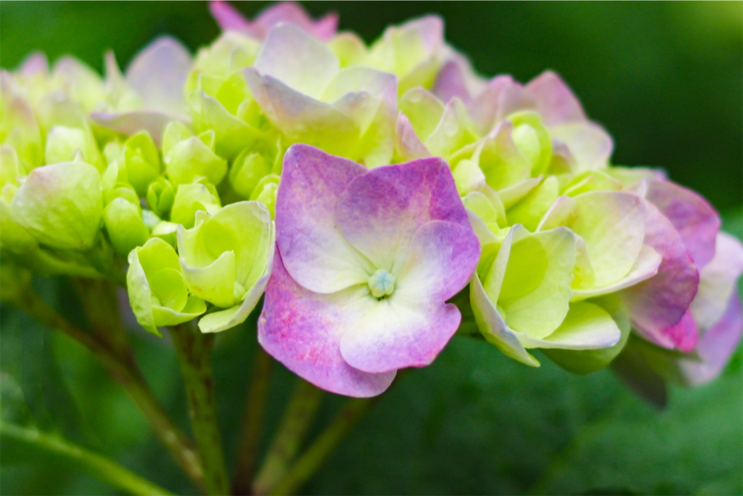 f:id:kumasan01:20240605041641j:image