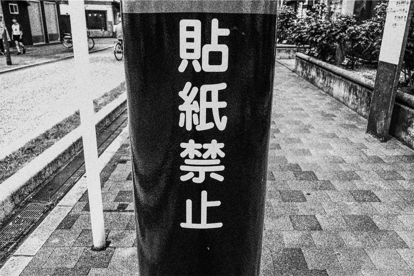 f:id:kumasan01:20240612062752j:image