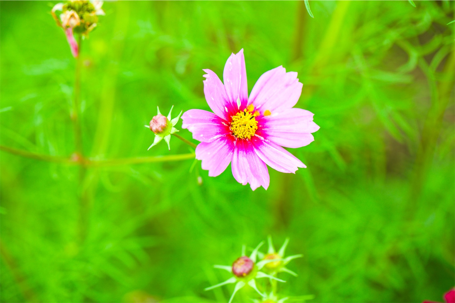 f:id:kumasan01:20241113192413j:image