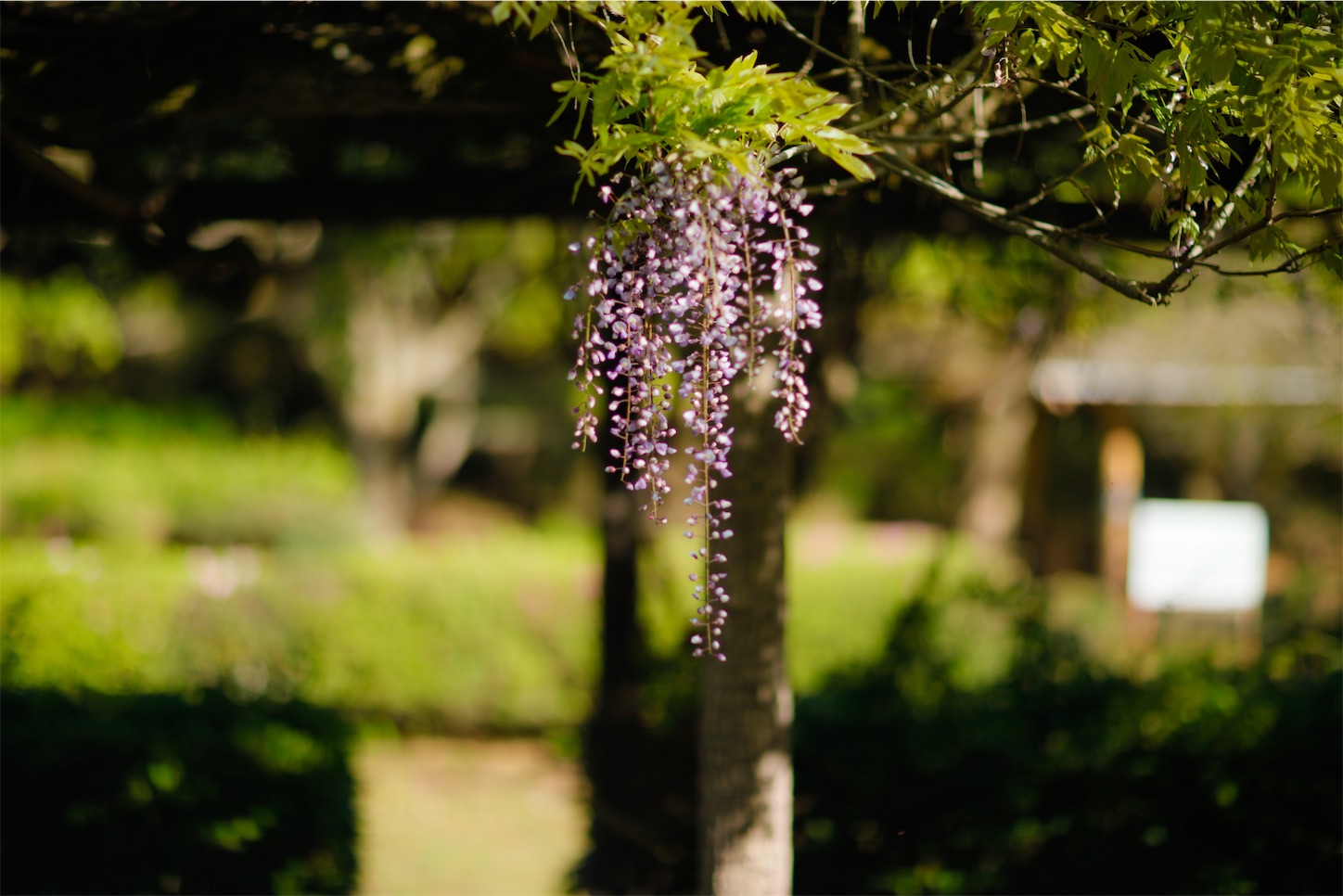 f:id:kumasan01:20250502215242j:image