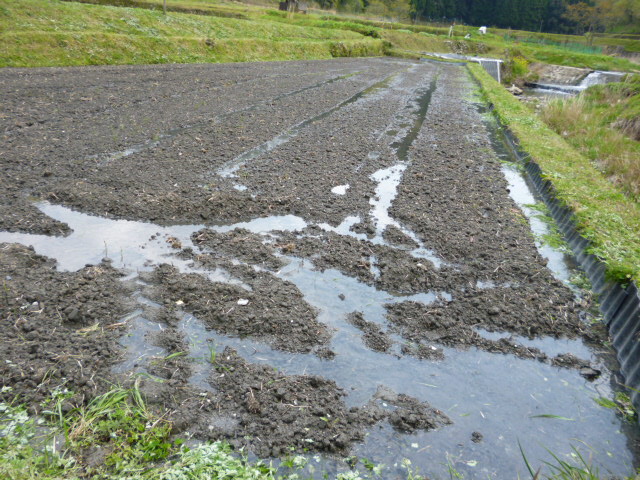 f:id:kumasan305:20130427111847j:image:w360:right f:id:kumasan305:20130427111847j:image:w360:right