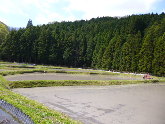 f:id:kumasan305:20130428092753j:image:w360:right f:id:kumasan305:20130428092753j:image:w360:right