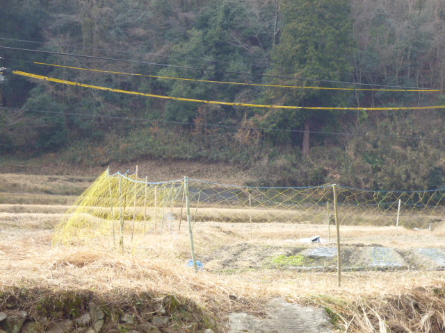 f:id:kumasan305:20140118115800j:image:w240:right f:id:kumasan305:20140118115800j:image:w240:right