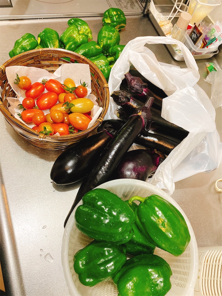 f:id:kumasan9:20200626174110j:image f:id:kumasan9:20200626174110j:image
