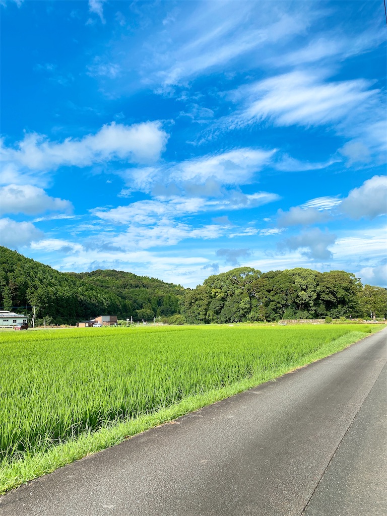f:id:kumasan9:20200819113617j:image f:id:kumasan9:20200819113617j:image