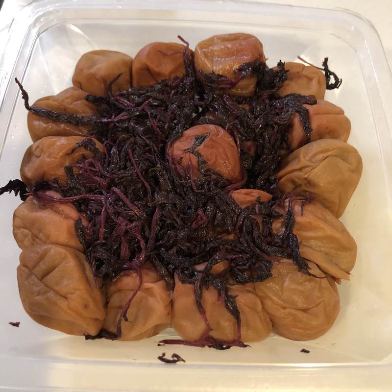 f:id:kumashufu:20210516092536j:plain