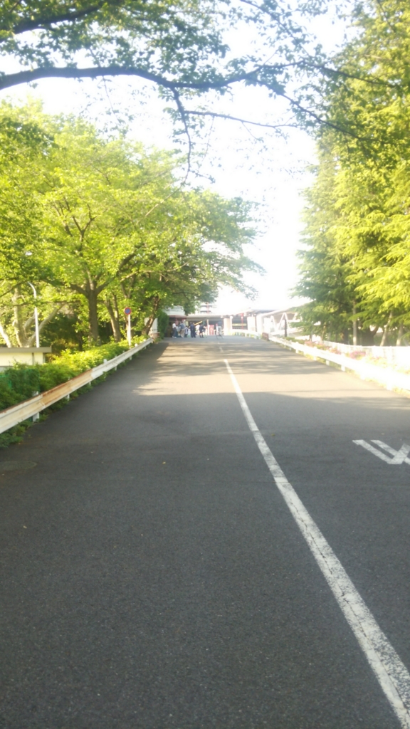 f:id:kumasi:20160625025914j:plain