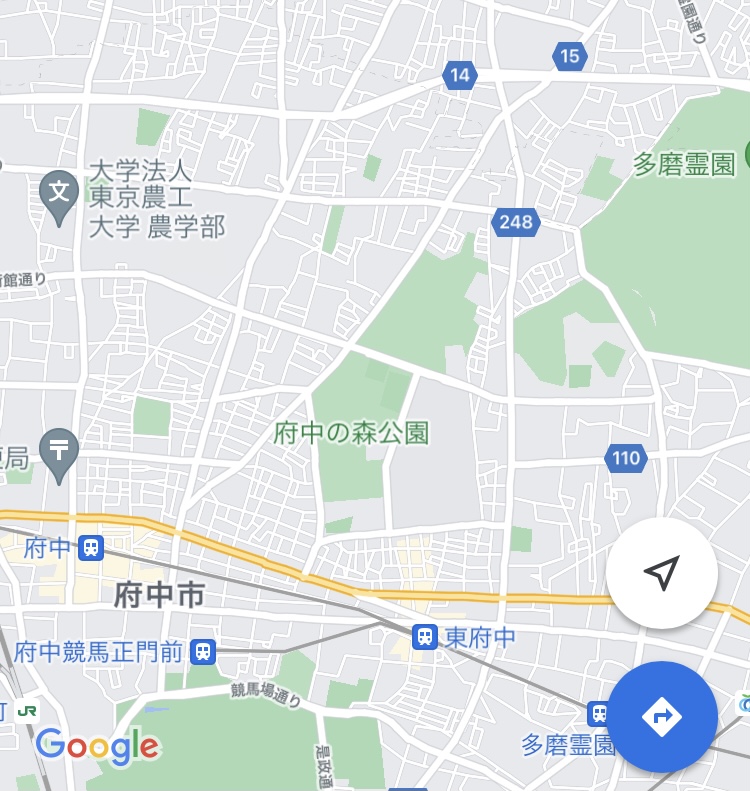 友枝中央公園 くまさんの徒然さくら日記 友枝中央公園 くまさんの徒然さくら日記