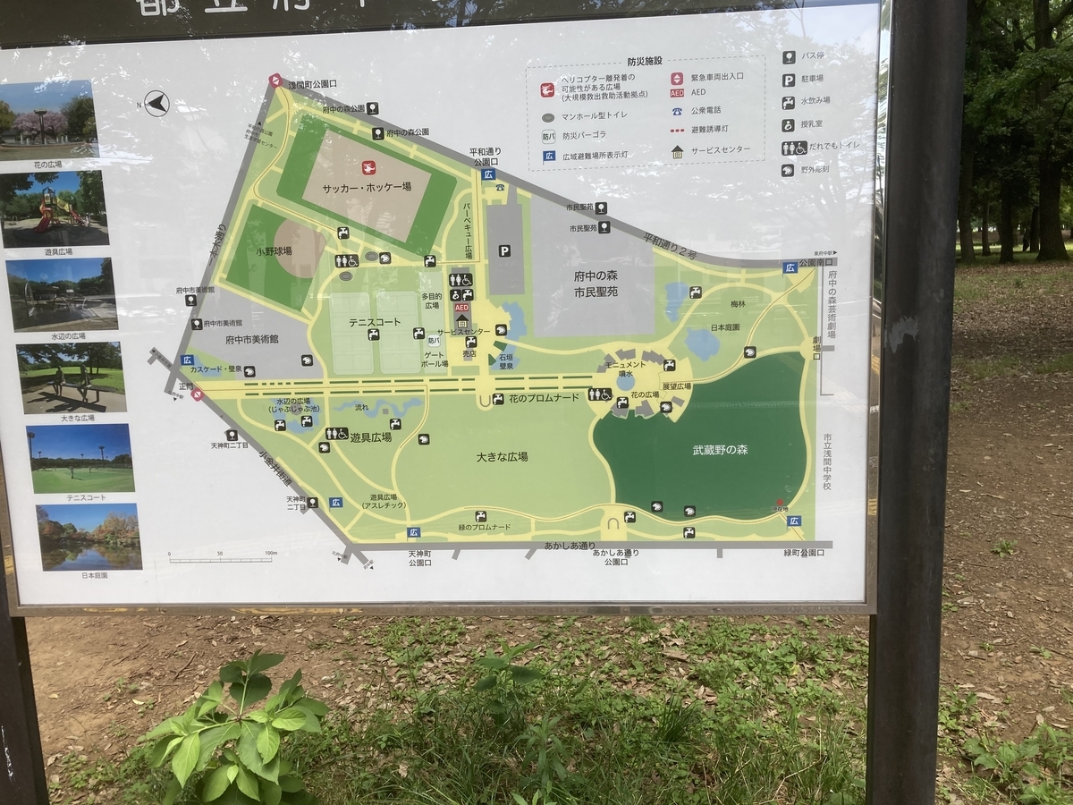 友枝中央公園 くまさんの徒然さくら日記 友枝中央公園 くまさんの徒然さくら日記