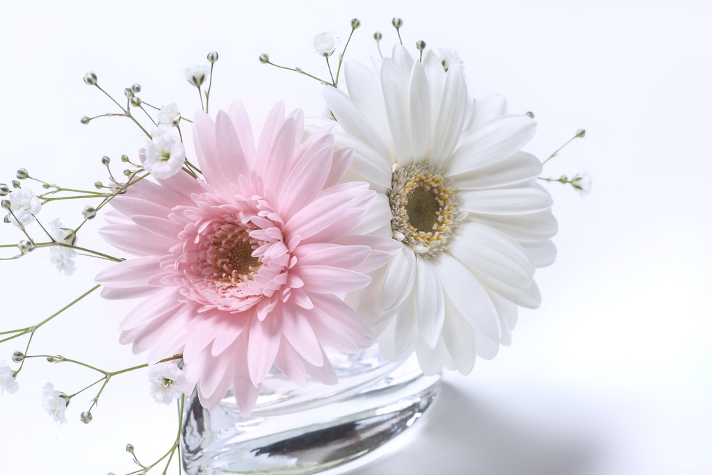 f:id:kumato117:20181027221013j:plain f:id:kumato117:20181027221013j:plain