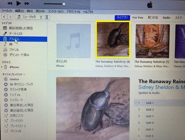 f:id:kumato117:20190120112626j:plain f:id:kumato117:20190120112626j:plain