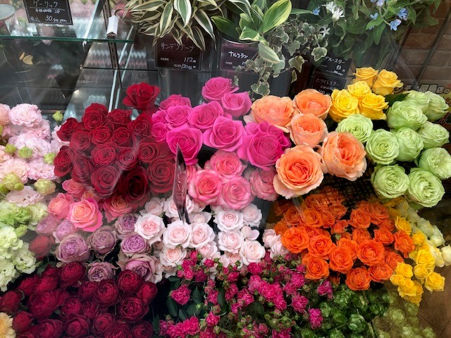 f:id:kumato117:20190422234010j:plain