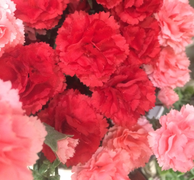 f:id:kumato117:20190508184501j:plain